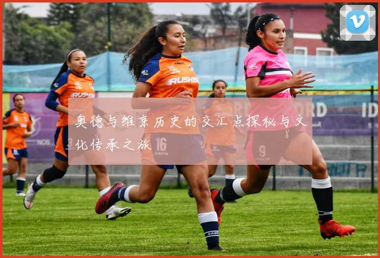 奥德与维京历史的交汇点探秘与文化传承之旅