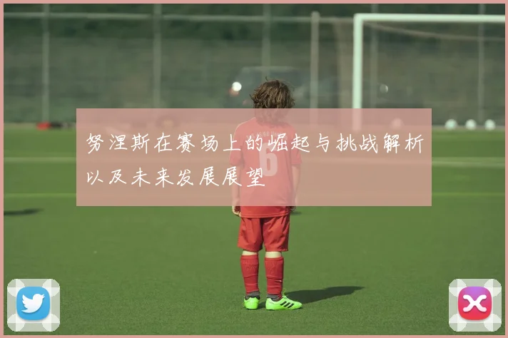 努涅斯在赛场上的崛起与挑战解析以及未来发展展望