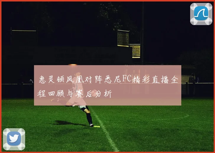 惠灵顿凤凰对阵悉尼FC精彩直播全程回顾与赛后分析