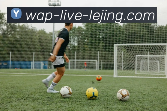 乐竞体育平台生态图